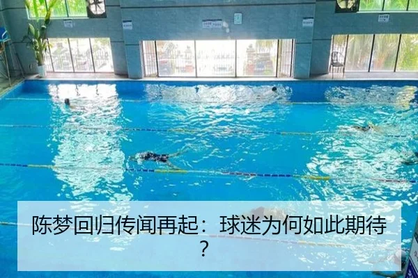 陈梦回归传闻再起：球迷为何如此期待？